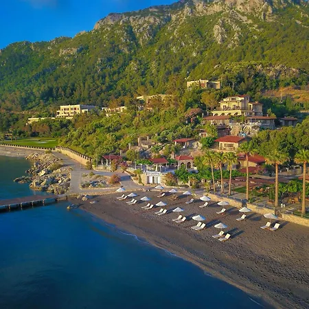 Bal, Florya * Marmaris