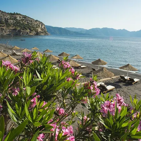 Bal, Florya *